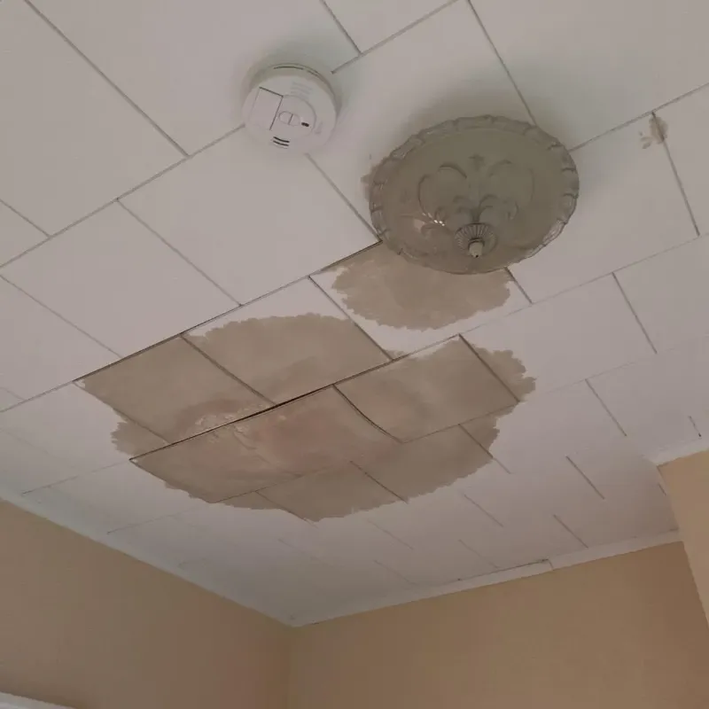Ceiling Water Damage Repair in Tonkawa, OK