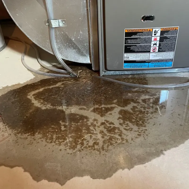 Pipe Burst and Leak Restoration in Tonkawa, OK